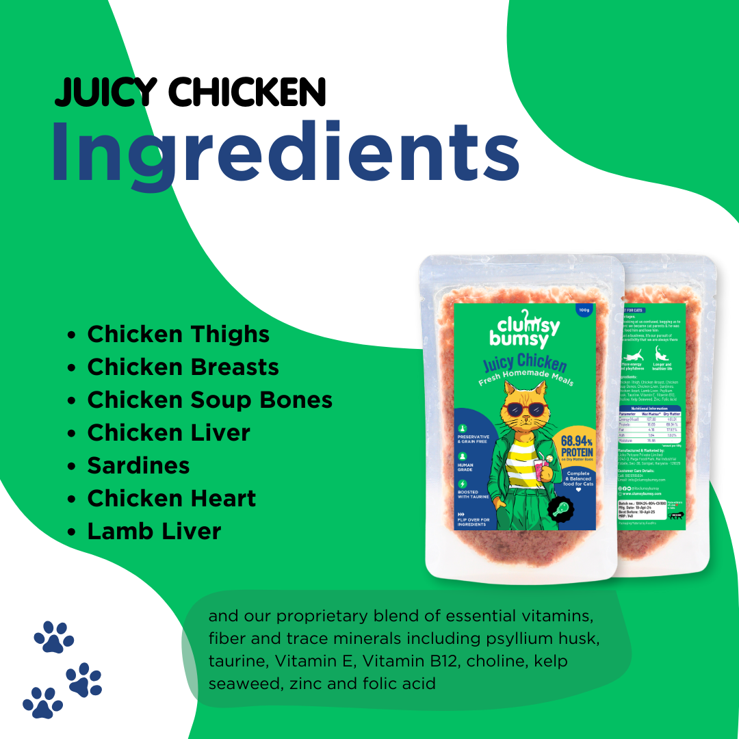 Juicy Chicken 100g for Cats