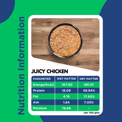 Juicy Chicken 100g for Cats