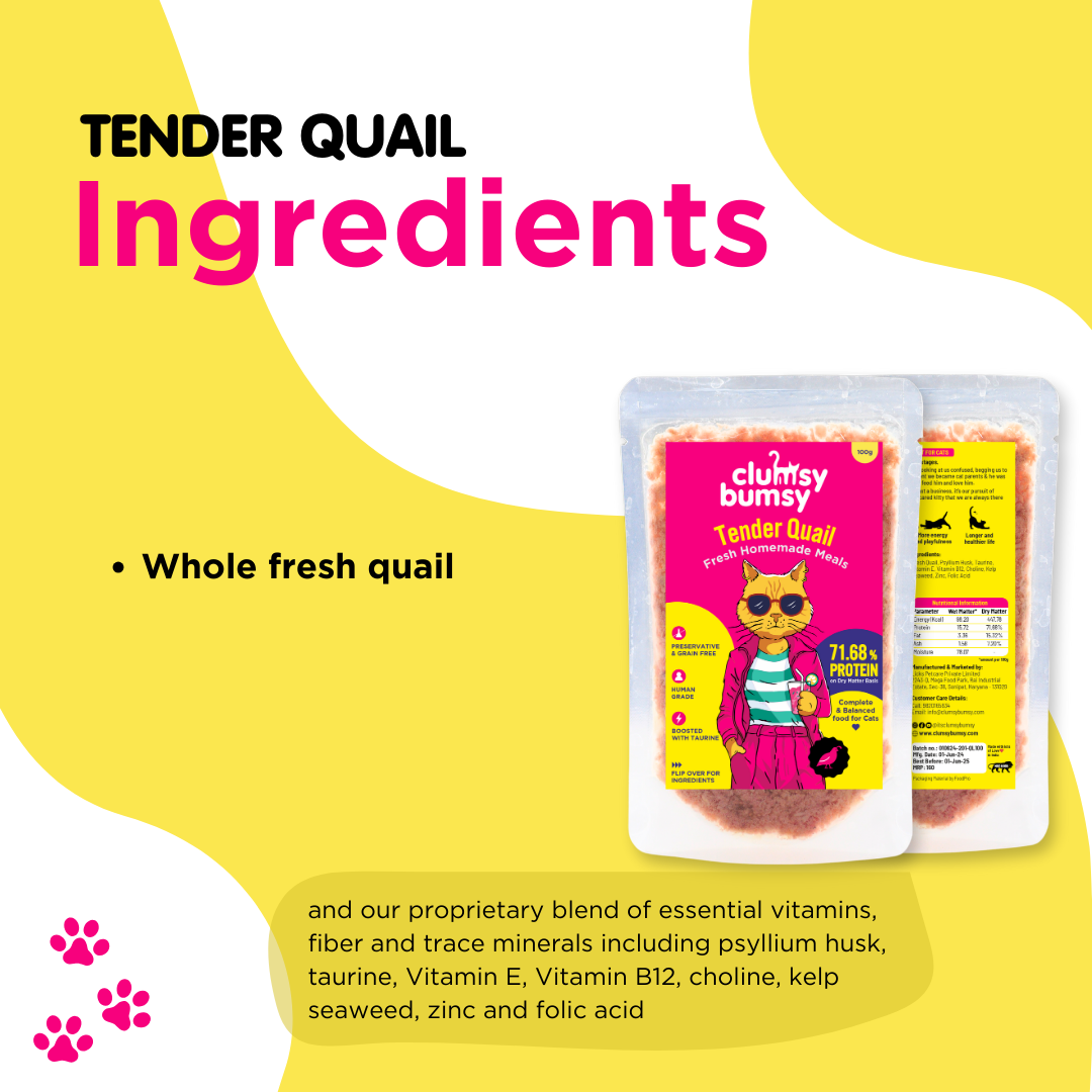 Tender Quail 100g for Cats