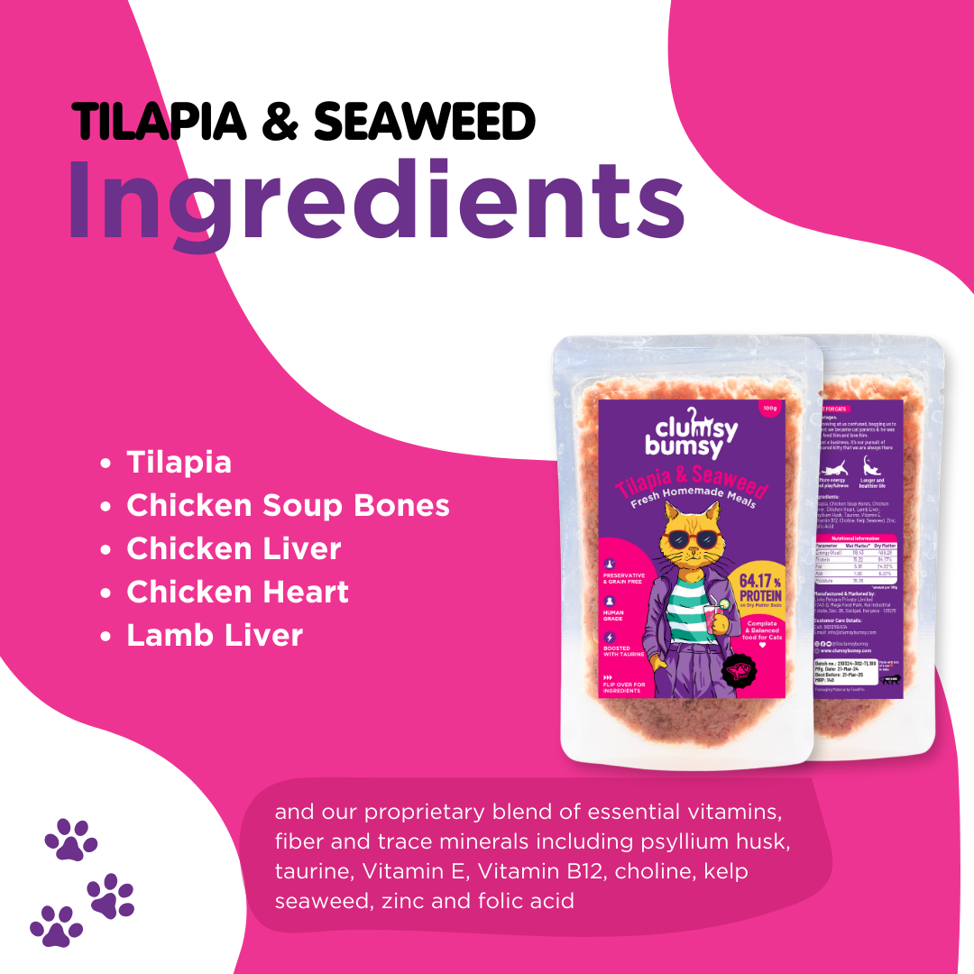 Tilapia & Seaweed 100g for Cats