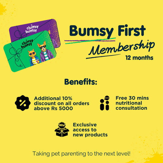 Bumsy First 12 Months Membership